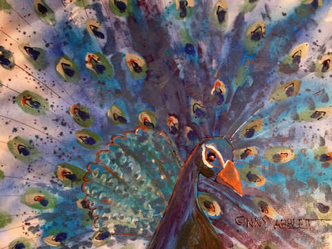 Peacock 5