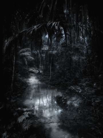 Heart of darkness