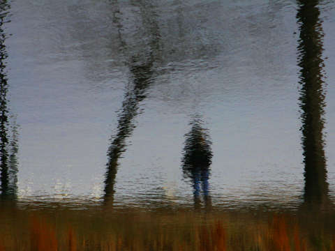 The stranger no2