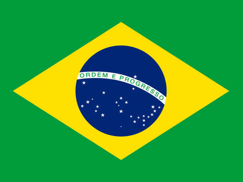 Brazilian national flag authentic version