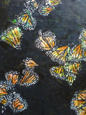 Monarchs in mexico