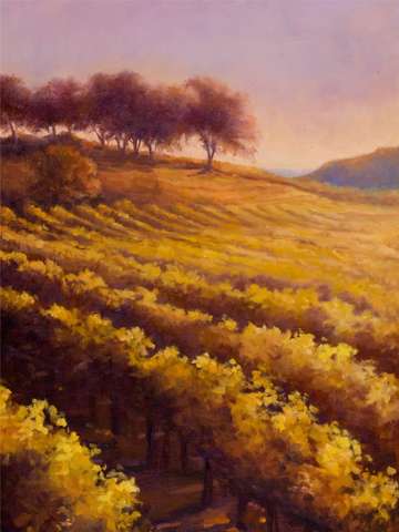 Vineyard Heaven