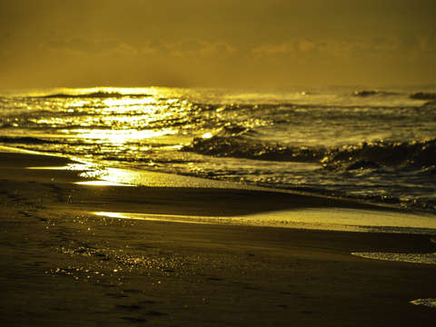 Sparkling sands