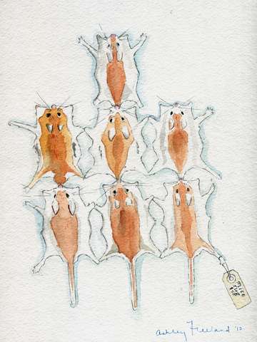 Mice rug