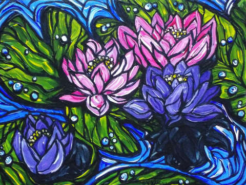 Purple and pink water lilies