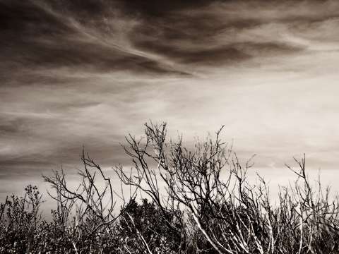 Beg the sky