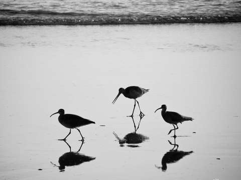 Three by Three