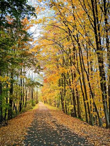 Fathers path