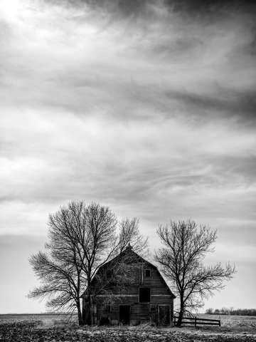 Untitled 114