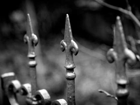 Untitled 122