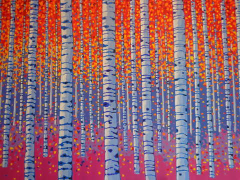 Birch trees in fall