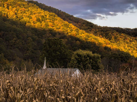 The church
