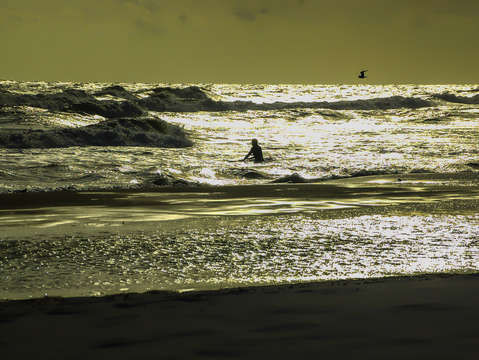 Waiting for the wave