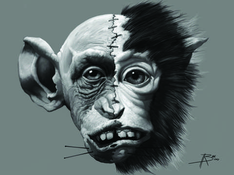 Nightmare monkey