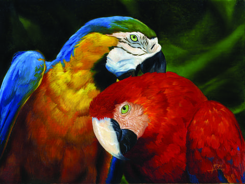 Parrots 2