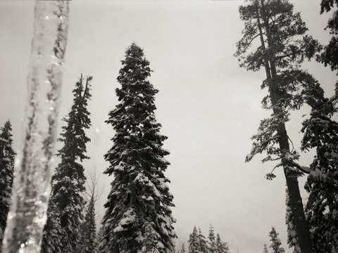 Untitled Winter