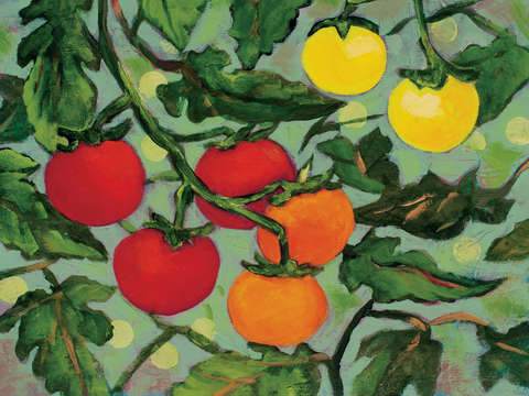 Little tomatoes