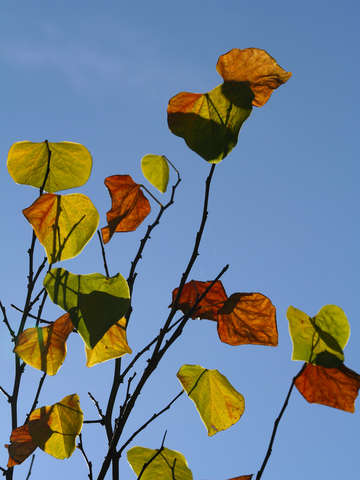 Seasons change mad things rearrange
