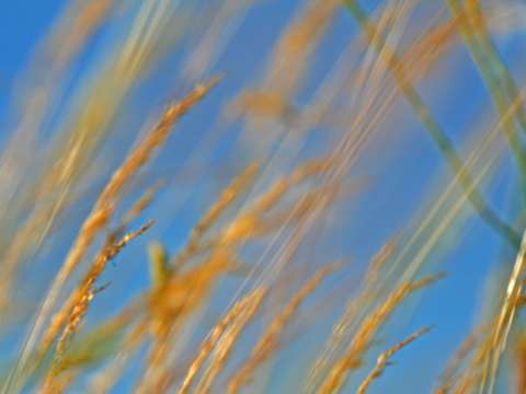 Textures ii