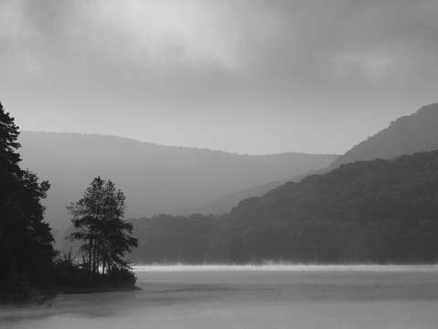 Misty lake at morning