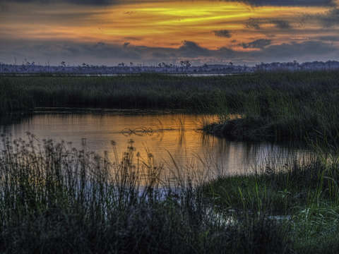 Colors of the morning on lake shelby