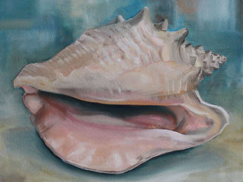 Conch shell 2