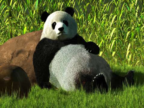 Reclining Panda