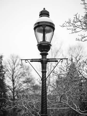 Smithsonian lamp post washington dc