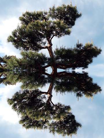 Photograph 6 2