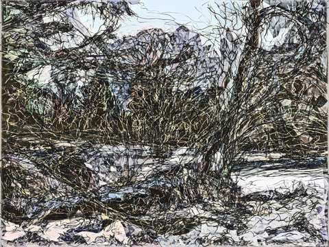 Winter landscape ii