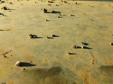 Rocks and shadows