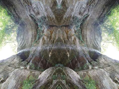 Photograph 10 2