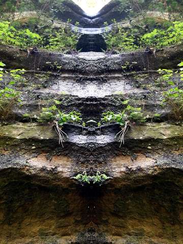 Photograph #15