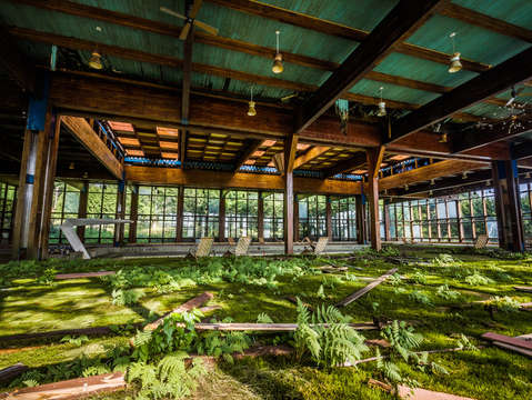 World's Greatest Terrarium