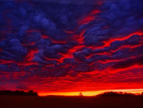 Creation on fire