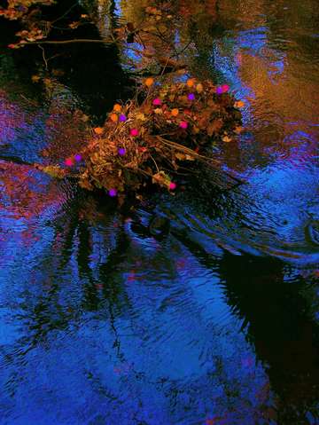 Blue water and flowers