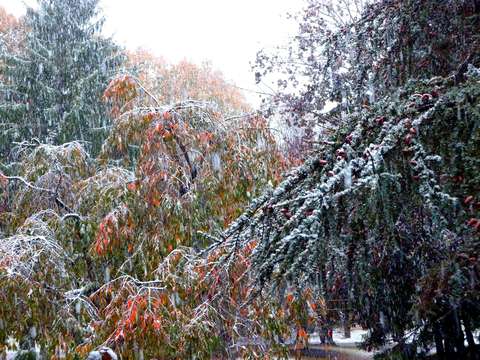 October snowstorm