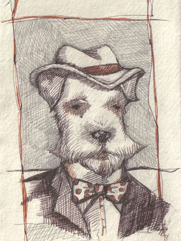 Mr terrier