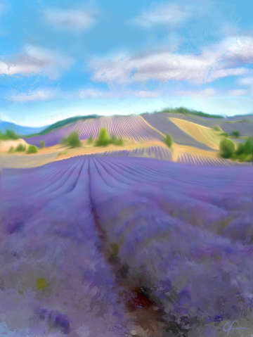 Provence 2