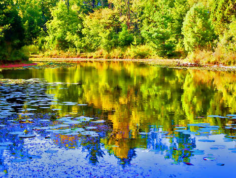 Autumn serenity