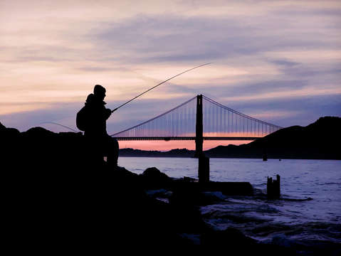 Gone fishing