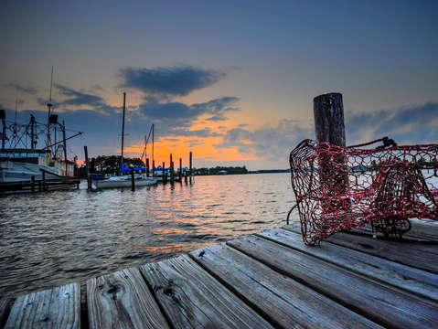 Net on the dock