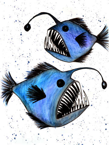 Guardian Anglers