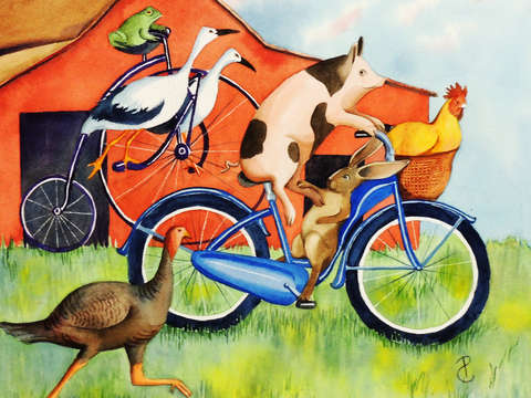 Turkey race 2