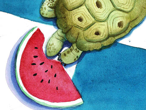 Flora and the melon