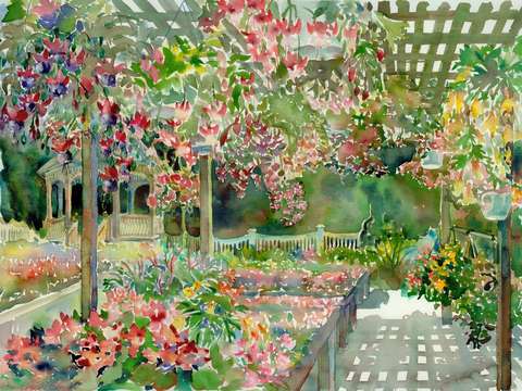 Fuchsia Trellis