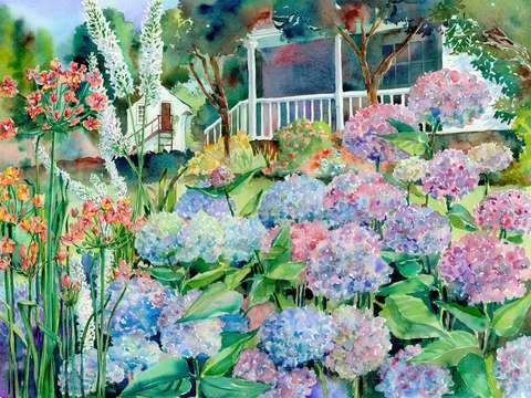 Hydrangea garden