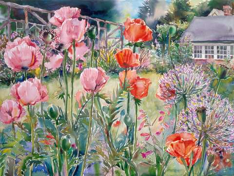 Poppy border