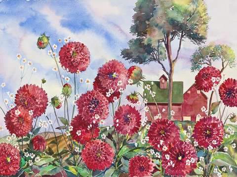 Zinnia barn