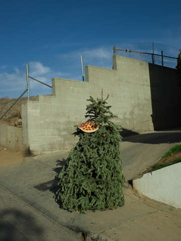 Christmas pie